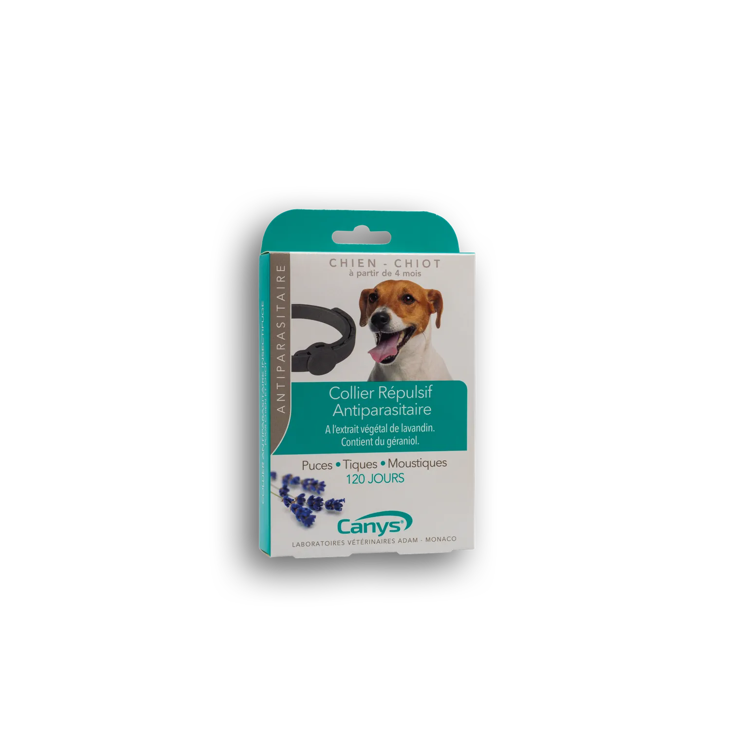 Canys Collare Antiparassitario Cane Cucciolo Insettifugo